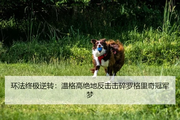 环法终极逆转：温格高绝地反击击碎罗格里奇冠军梦